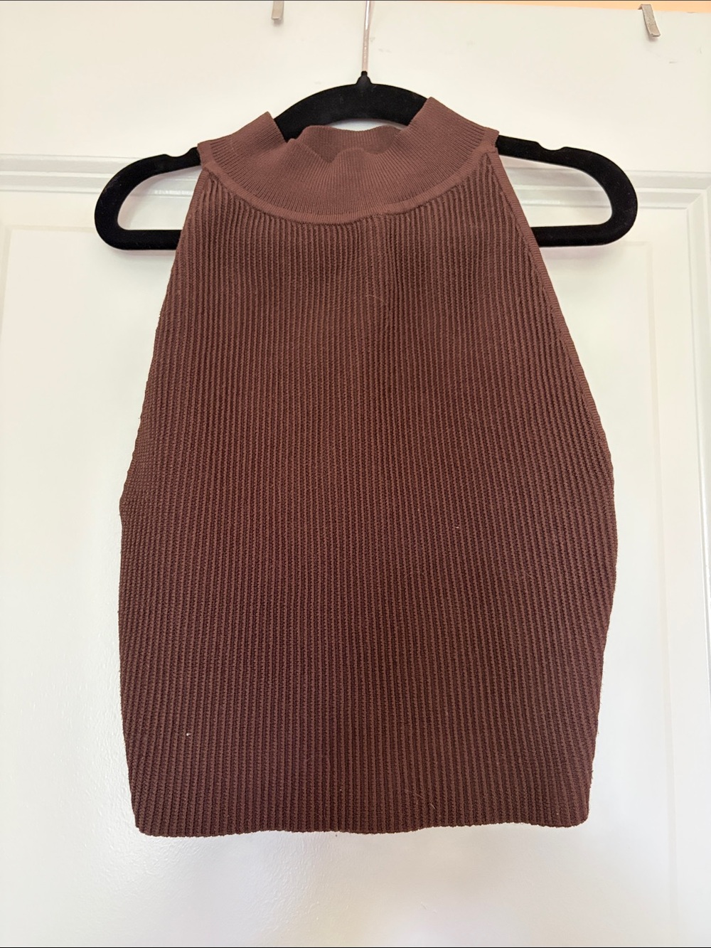 Aritzia Babaton Chocolate Brown Ribbed Mock Neck Tank